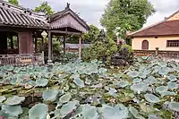 Lotus lake