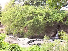 Passageway from Florlina Dela Cruz to Lower Zapote River