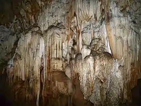 Kao Rao Caves, Nam Ha NBCA