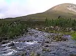 The Luibeg Burn at the Robber's Copse