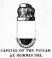 Drawing of the pillar capital originally discovered next to the Lumbini pillar.