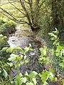 Luttrelstown stream entering the Liffey