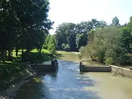 The Luy de Béarn near Sault-de-Navailles