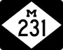 M-231 marker