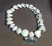 Image 23A necklace reconstructed from perforated sea snail shells from Upper Palaeolithic Europe, dated between 39,000 and 25,000 BCE. The practice of body adornment is associated with the emergence of behavioral modernity. (from Nudity)