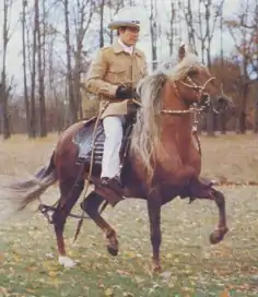 Image 5Peruvian Paso (from Demographics of Peru)