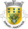 Coat of arms of Espinho