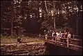 Inspectors from DOCUMERICA looking at the granite walls of the Nashua River power canal in June 1973
