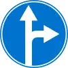 Go straight or turn right