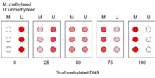 diagram of methylation specific olignonucleotide microarray that would be used to make a calibration curve