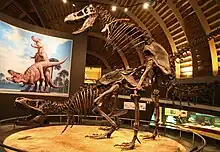 Jurassic Museum of Asturias