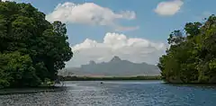 View west towards La Restinga Lagoon National Park and Macanao Peninsula.