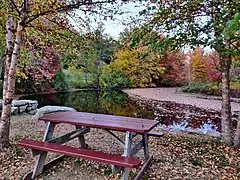 Picnic area and stream