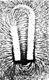 Magnetic field of a horseshoe magnet. The field is greatest where the lines are densest, around the poles (lower)