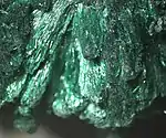 Malachite, image taken under a stereoscopic microscope