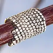 Eggs of lackey moth (Malacosoma neustria family Lasiocampidae)