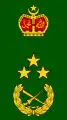 Leftenan jeneral(Malaysian Army)