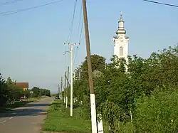 The Romanian Orthodox Church