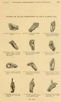 Types of hand positions in sign language. Positions A through L. A: Fist, palm outward, horizontal. B: Fist, back outward, oblique upward. C: Clinched, with thumb extended against forefinger, upright, edge outward. D: Clinched, ball of thumb against middle of forefinger, oblique, upward, palm down. E: Hooked, thumb against end of forefinger, upright, edge outward. F: Hooked, thumb against side of forefinger, oblique, palm outward. G: Fingers resting against ball of thumb, back upward. H: Arched, thumb horizontal against end of forefinger, back upward. I: Closed, except forefinger crooked against end of thumb, upright, palm outward. J: Forefinger straight, upright, others closed, edge outward. K: Forefinger obliquely extended upward, others closed, edge outward. L: Thumb vertical, forefinger horizontal, others closed, edge outward.