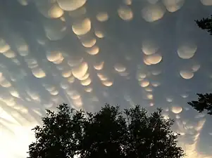 Mammatus Clouds over Saskatchewan (October 23, 2012; October 18, 2015)