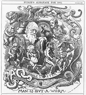 Darwin's figure is shown seated, dressed in a toga, in a circular frame labelled "TIME'S METER" around which a succession of figures spiral, starting with an earthworm emerging from the broken letters "CHAOS" then worms with head and limbs, followed by monkeys, apes, primitive men, a loin cloth clad hunter with a club, and a gentleman who tips his top hat to Darwin