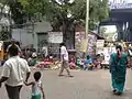 Manakula Vinayagar Temple