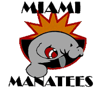 Team logo