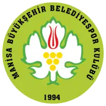 Manisa Büyükşehir Basket Külübu logo