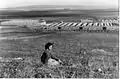 Israeli army camp at Khirbet al-Mansura. 1948