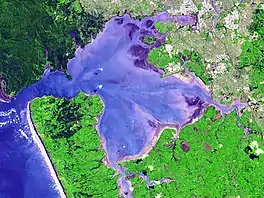 Satellite view of the Manukau Harbour