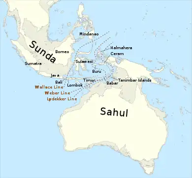 Image 32The continent of Sahul before the rising ocean sundered Australia and New Guinea after the last ice age (from New Guinea)