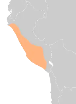 Expansion and area of influence of the Wari Empire around 800 AD