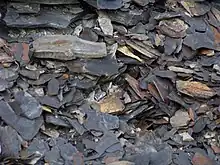 Many irregular pieces of rock in different sizes.