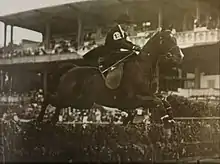 Photograph of a woman jumping a horse over an obstacle at a riding stadium full of spectators.