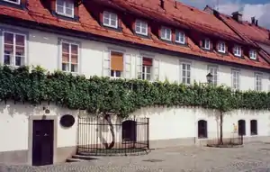 The oldest grape vine in the world in Maribor