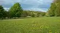 Golf course with artificial hill in background