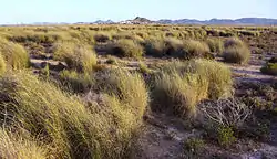 View of the El Carmolí area