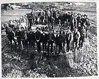 Fifty men stand on the massive stump of the Mark Twain Tree.