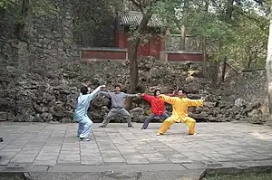 Chen-style practitioners in Single Whip