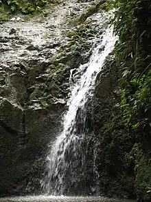 Maunawili Falls.