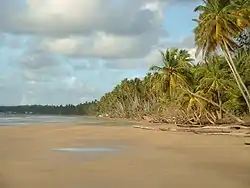 Mayaro Bay, looking south