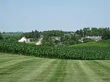 Image 18Central Iowa cornfield and dairy in June (from Iowa)