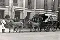 Zebras pulling a carriage