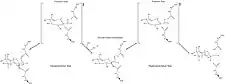 Mechanism of β-glucuronidase hydrolysis of a sugar substrate with high energy transition states showing oxocarbenium ion character depicted