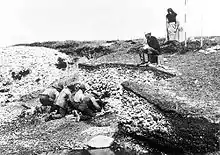 Image 69Excavation of the Ertebølle middens in 1880 (from Atlantic Ocean)