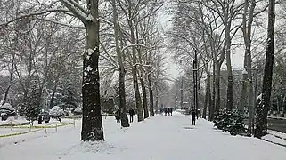 Mellat Park in winter.