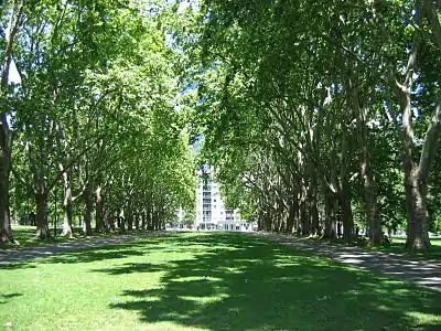 CBN Carlton Gardens