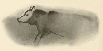 Image 33Watercolor tracing made by archaeologist Henri Breuil from a cave painting of a wolf-like canid, Font-de-Gaume, France dated 19,000 years ago. (from Domestication of the dog)