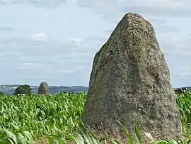 The menhir of Keranhouët, in Saint-Gildas