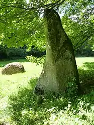 The menhir of Le Pré de Camet, in Plouvara